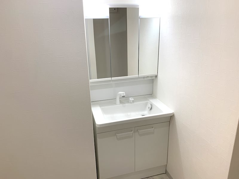 ワイズ桃山御陵 内観写真（洗面台・洗面所）