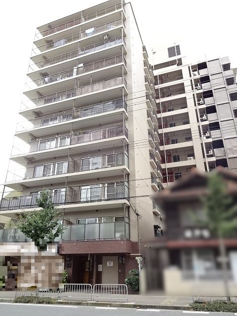 現地写真
